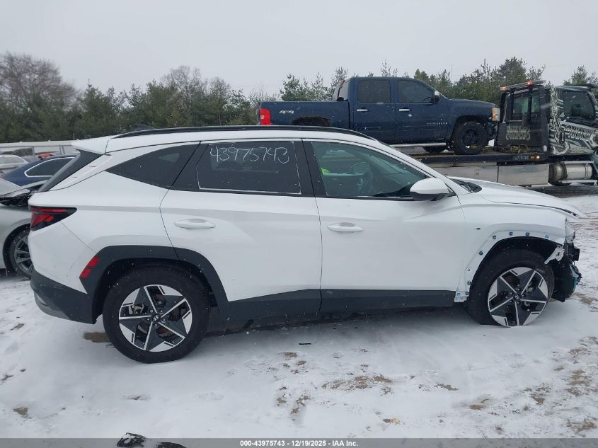 2025 Hyundai Tucson Sel VIN: 3KMJBCDEXSE003081 Lot: 43975743