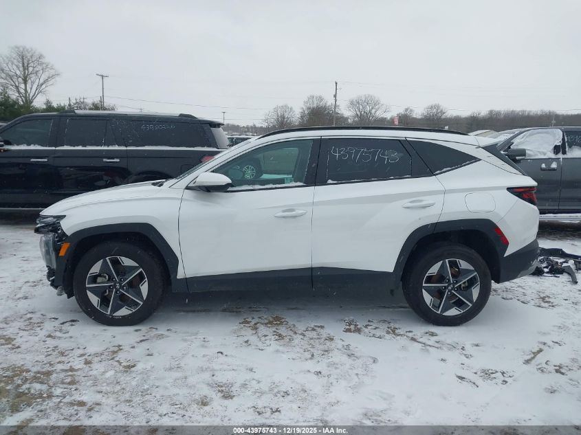 2025 Hyundai Tucson Sel VIN: 3KMJBCDEXSE003081 Lot: 43975743