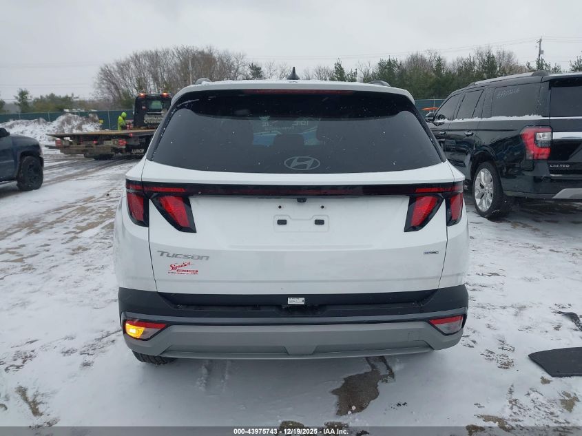 2025 Hyundai Tucson Sel VIN: 3KMJBCDEXSE003081 Lot: 43975743