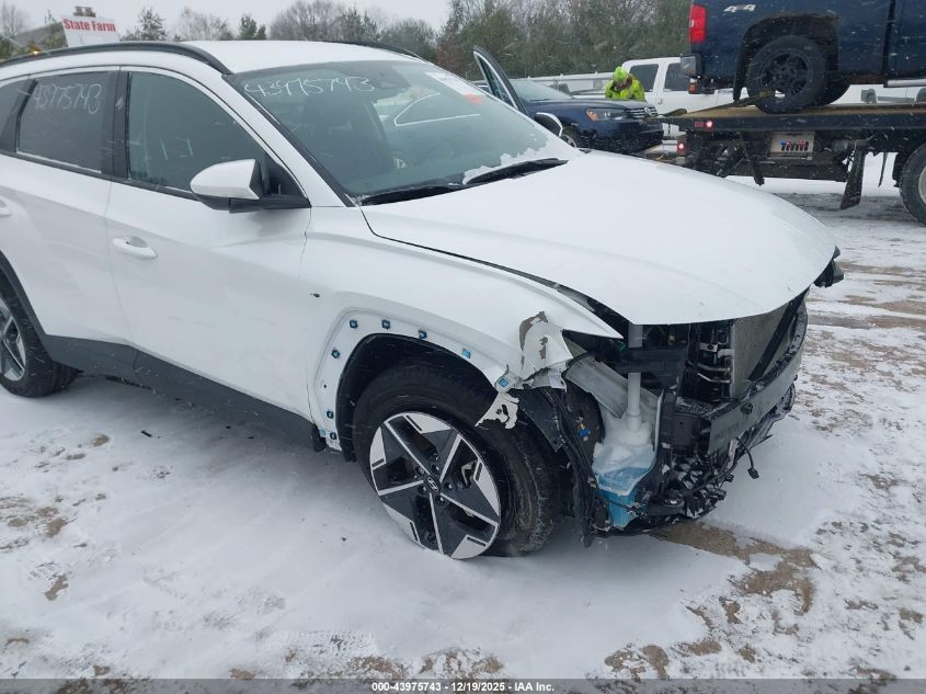 2025 Hyundai Tucson Sel VIN: 3KMJBCDEXSE003081 Lot: 43975743