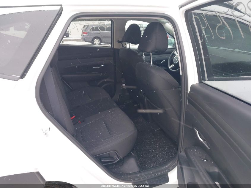 2025 Hyundai Tucson Sel VIN: 3KMJBCDEXSE003081 Lot: 43975743