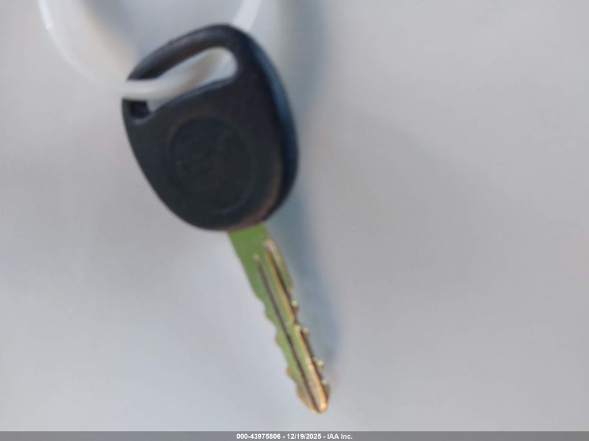 2004 Chevrolet Silverado 1500 Ls VIN: 2GCEC19T441316785 Lot: 43975806