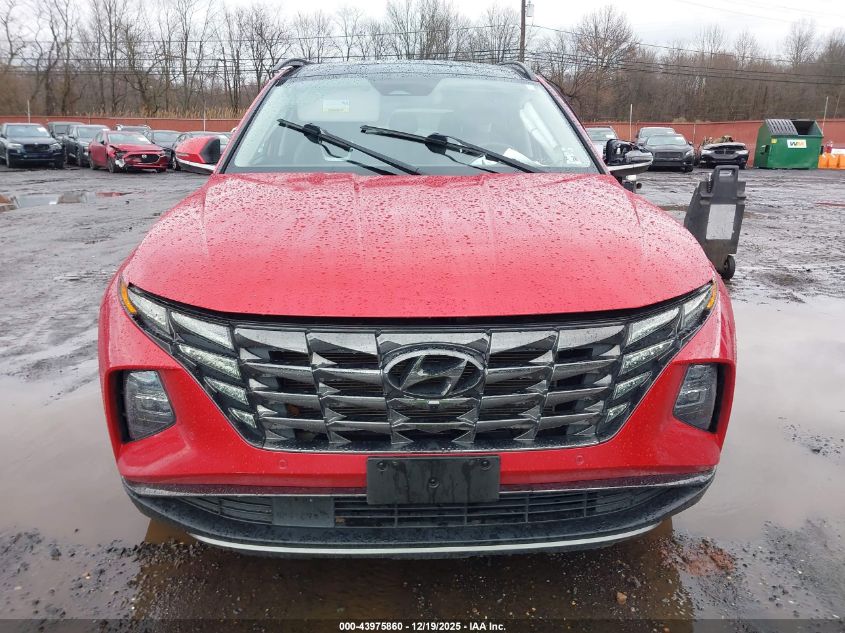 2023 Hyundai Tucson Limited VIN: 5NMJECAE1PH184134 Lot: 43975860