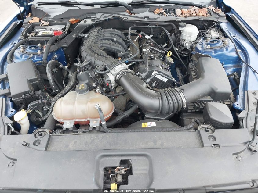 2017 Ford Mustang V6 VIN: 1FA6P8AM1H5269828 Lot: 43975889