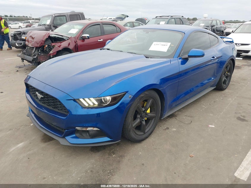 1FA6P8AM1H5269828 2017 FORD MUSTANG photo no. 2