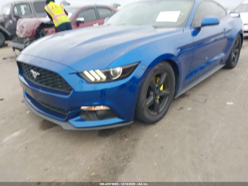 2017 Ford Mustang V6 VIN: 1FA6P8AM1H5269828 Lot: 43975889