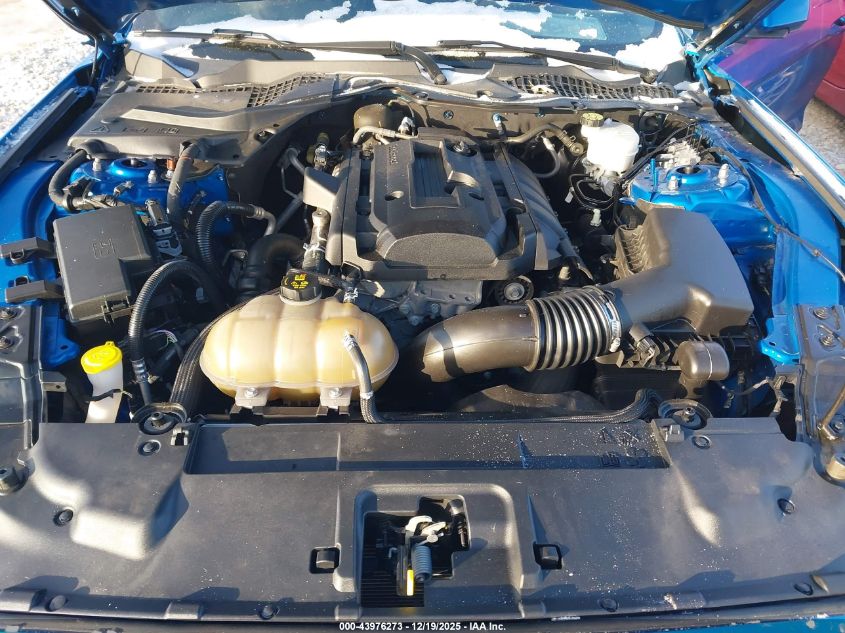 2019 Ford Mustang Ecoboost VIN: 1FA6P8TH2K5192877 Lot: 43976273