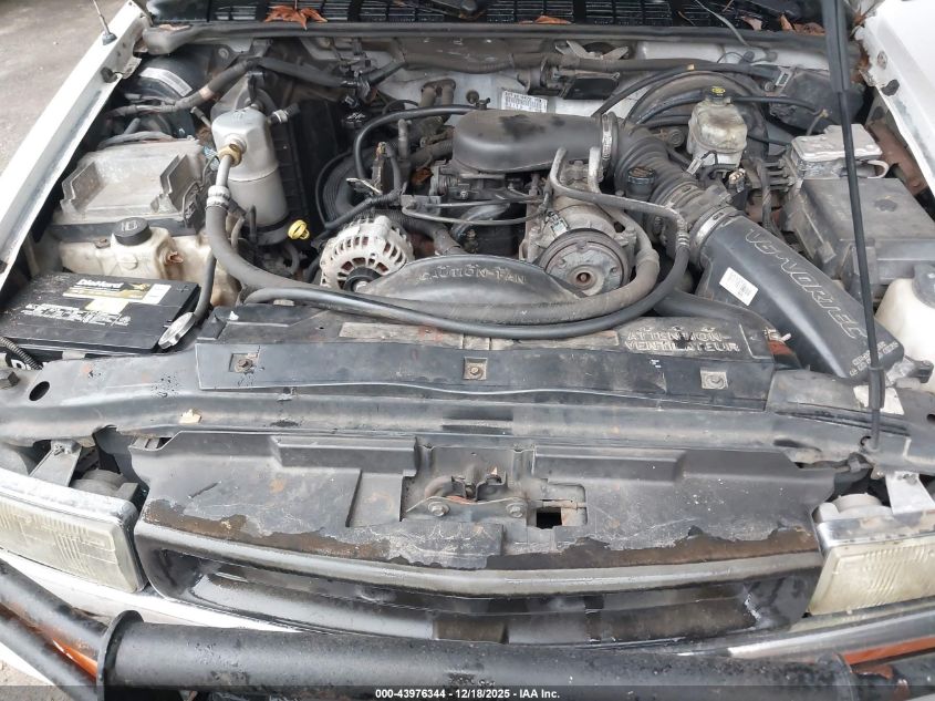 2005 Chevrolet Blazer Ls VIN: 1GNDT13X85K107033 Lot: 43976344