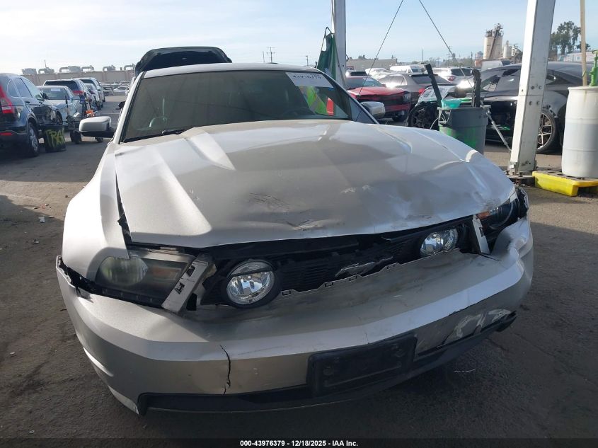 2011 Ford Mustang Gt/Gt Premium VIN: 1ZVBP8CF2B5156255 Lot: 43976379