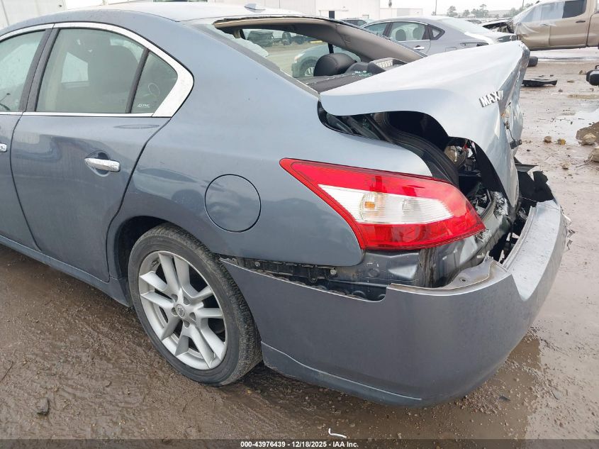 2010 Nissan Maxima 3.5 Sv VIN: 1N4AA5AP6AC838890 Lot: 43976439