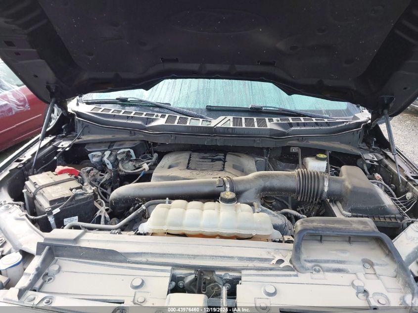 2021 Ford F-150 Xlt VIN: 1FTFW1E85MKD05081 Lot: 43976460