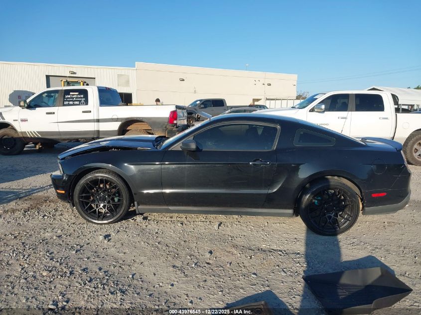 2012 Ford Mustang V6 Premium VIN: 1ZVBP8AM9C5251964 Lot: 43976545
