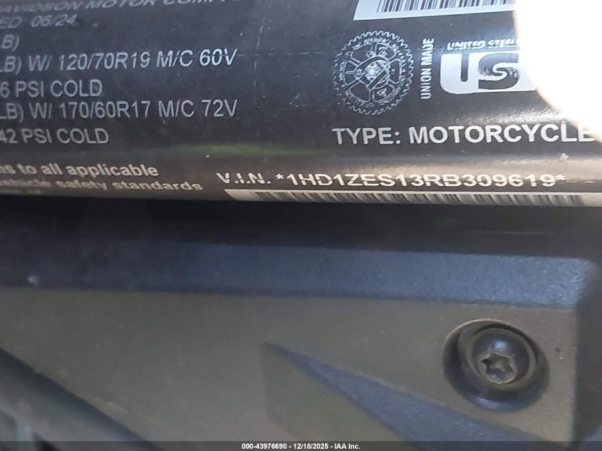 2024 Harley-Davidson Ra1250 S VIN: 1HD1ZES13RB309619 Lot: 43976690