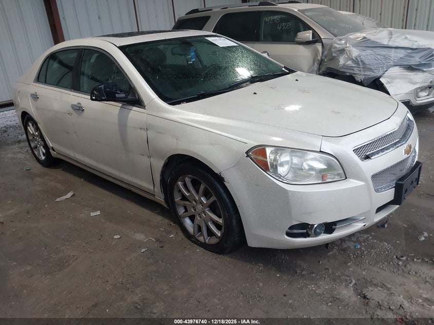 CHEVROLET MALIBU 1LZ