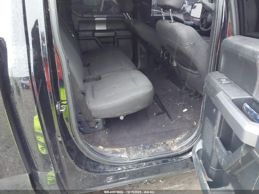 2016 Ford F-150 Xlt VIN: 1FTEW1EP5GFC84989 Lot: 43976852