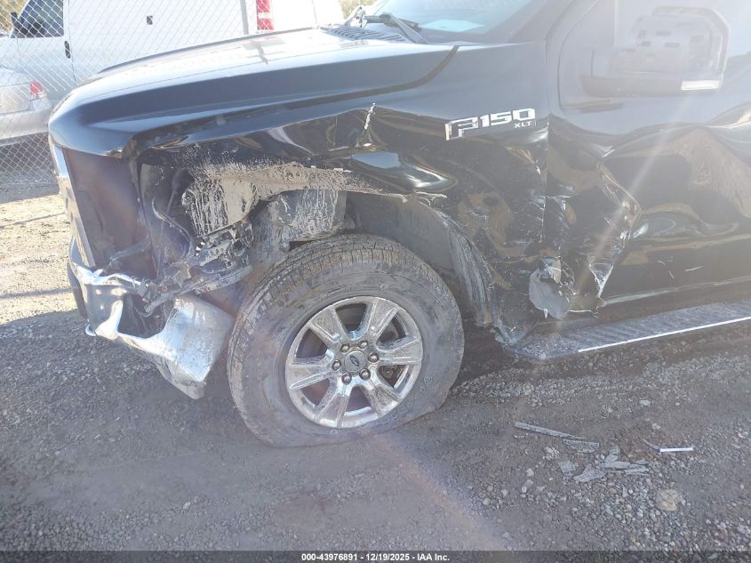 2016 Ford F-150 Xlt VIN: 1FTEW1E8XGFB97520 Lot: 43976891