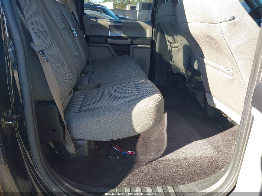 2016 Ford F-150 Xlt VIN: 1FTEW1E8XGFB97520 Lot: 43976891