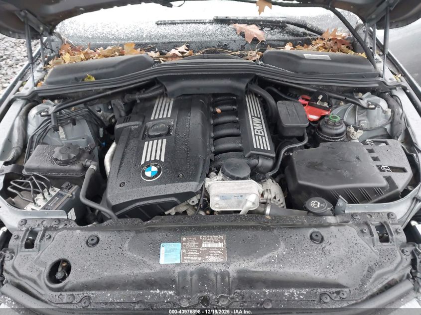 2010 BMW 528I xDrive VIN: WBANV1C50AC389093 Lot: 43976898