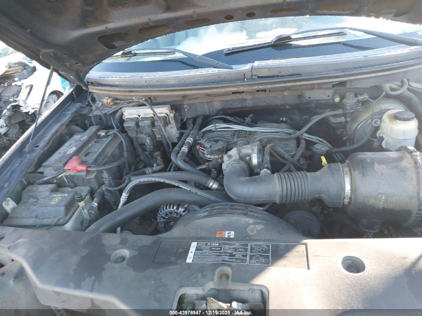 2006 Ford F-150 Stx/Xl/Xlt VIN: 1FTRF12206NB70655 Lot: 43976947