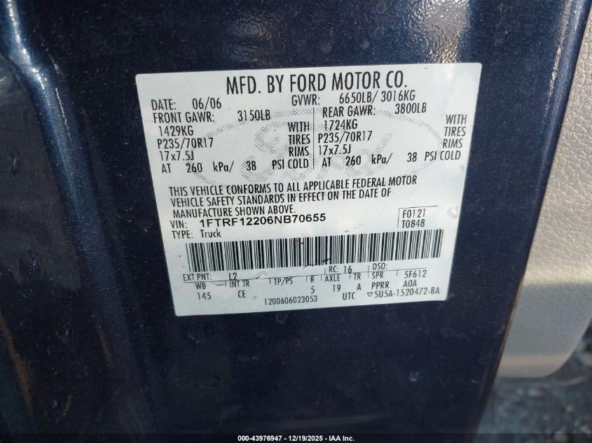 2006 Ford F-150 Stx/Xl/Xlt VIN: 1FTRF12206NB70655 Lot: 43976947