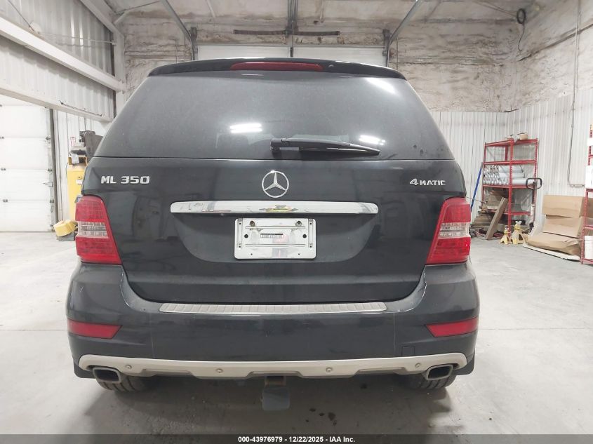 2010 Mercedes-Benz Ml 350 4Matic VIN: 4JGBB8GBXAA605742 Lot: 43976979