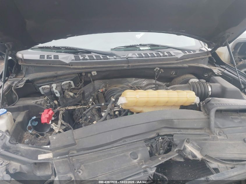 2019 Ford F-150 Xlt VIN: 1FTEW1C54KKC89151 Lot: 43977039