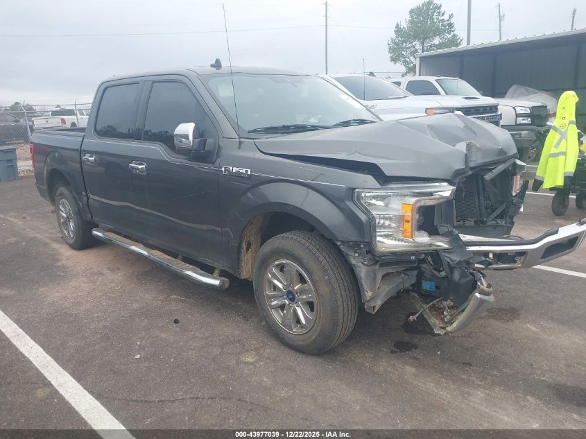 2019 Ford F-150 Xlt VIN: 1FTEW1C54KKC89151 Lot: 43977039