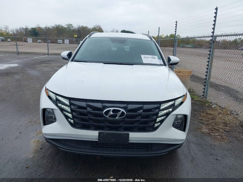 2024 Hyundai Tucson Sel VIN: 5NMJB3DE0RH381609 Lot: 43977080