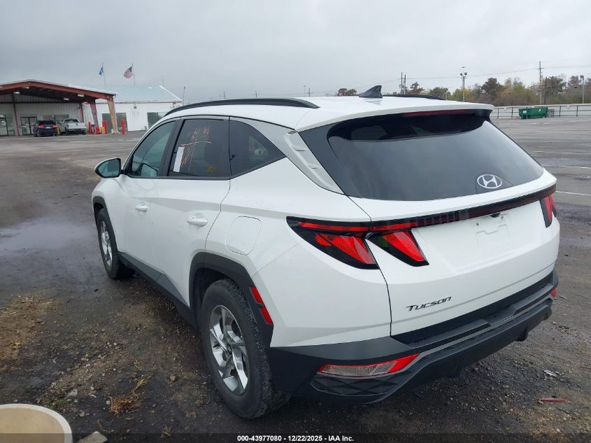 2024 Hyundai Tucson Sel VIN: 5NMJB3DE0RH381609 Lot: 43977080