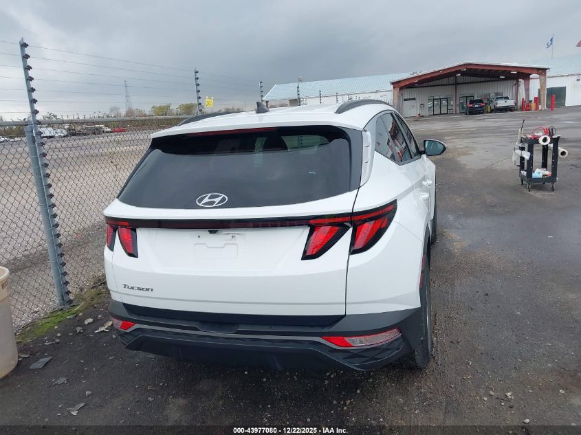 2024 Hyundai Tucson Sel VIN: 5NMJB3DE0RH381609 Lot: 43977080
