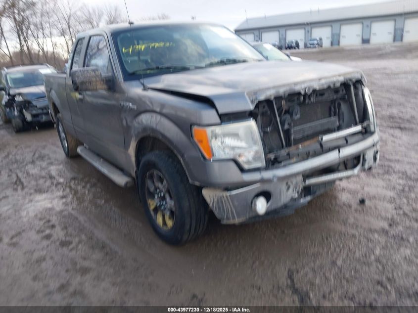 2010 Ford F-150 Fx2 Sport/Lariat/Xl/Xlt VIN: 1FTFX1CV2AFC00976 Lot: 43977230