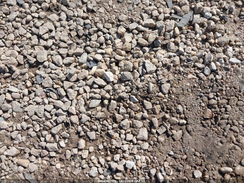 2012 Chevrolet Colorado 1Lt VIN: 1GCDSCF93C8112719 Lot: 43977571