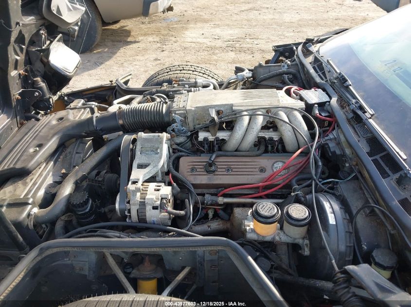 1989 Chevrolet Corvette VIN: 1G1YY2185K5114179 Lot: 43977603