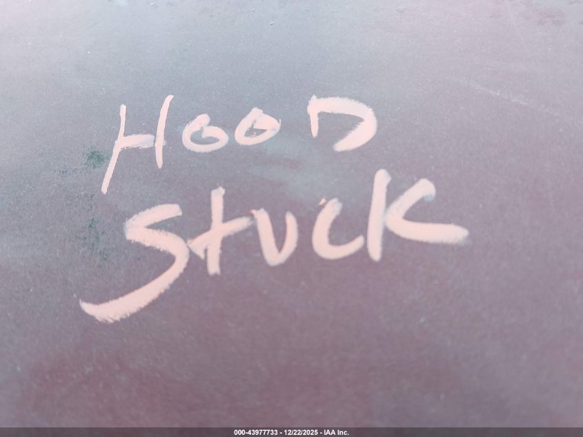 2002 Chevrolet Tahoe Z71 VIN: 1GNEK13Z12R174164 Lot: 43977733