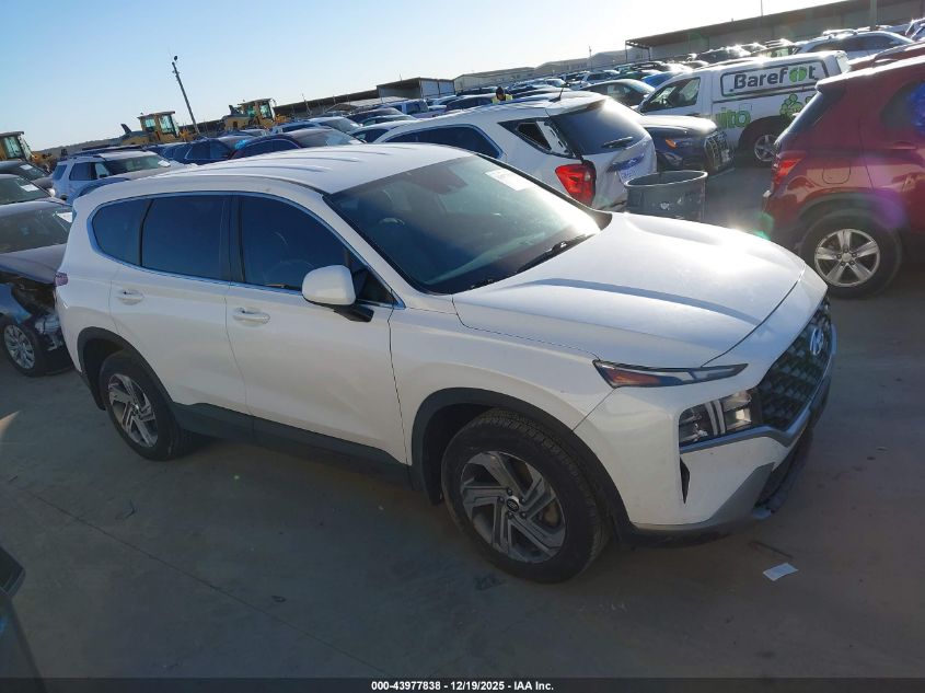 2023 Hyundai Santa Fe Se VIN: 5NMS14AJ6PH557266 Lot: 43977838