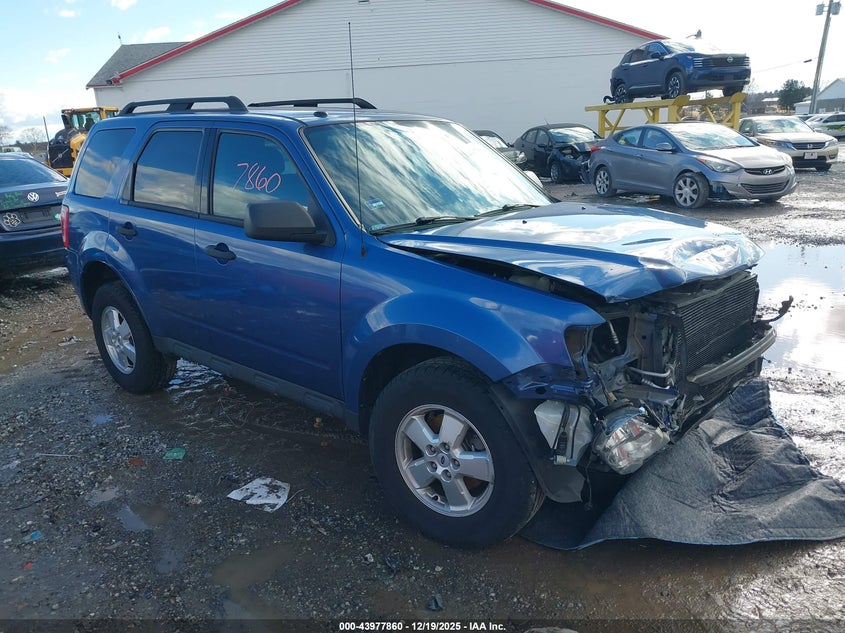 2010 Ford Escape Xlt