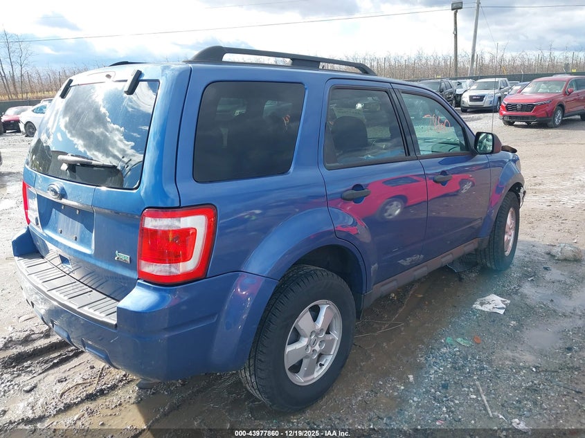 2010 Ford Escape Xlt