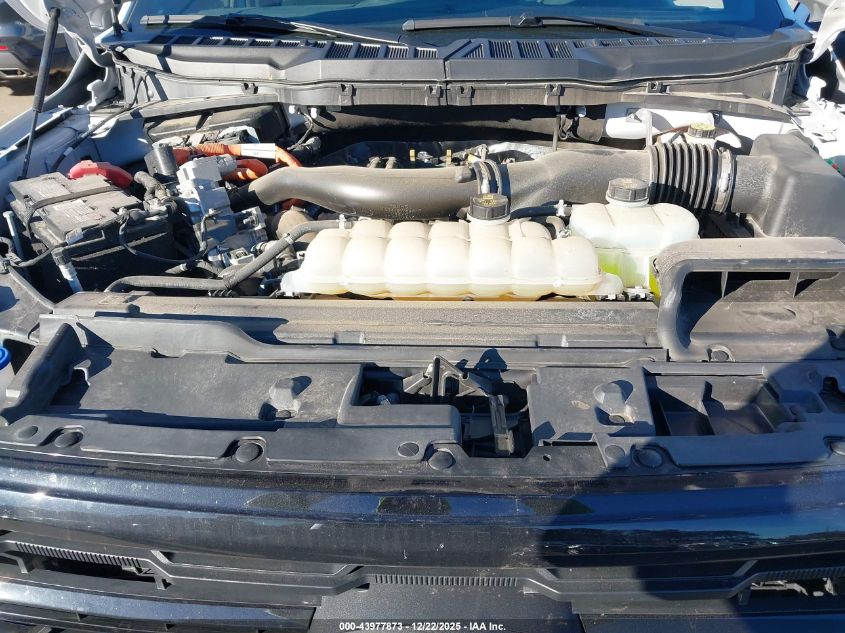 2024 Ford F-150 Xlt VIN: 1FTFW3LD1RFB58446 Lot: 43977873