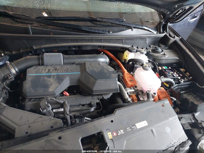 2024 Hyundai Tucson Hybrid Sel Convenience VIN: KM8JCCD19RU193671 Lot: 43978396