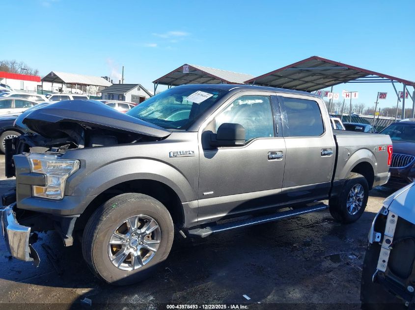 2015 Ford F-150 Xlt VIN: 1FTEW1EP7FFB57790 Lot: 43978493