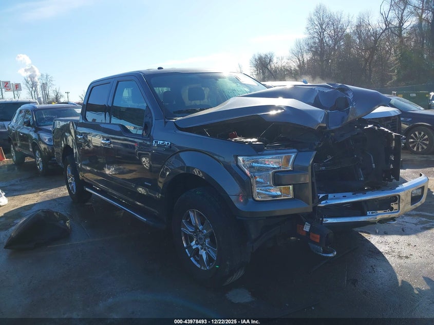 1FTEW1EP7FFB57790 2015 Ford F-150 Xlt auction photo 1