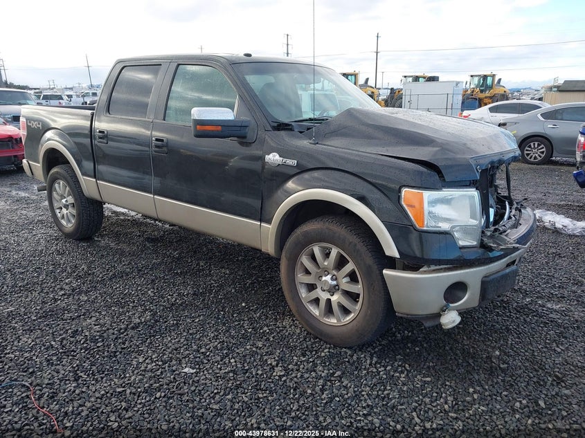 2010 Ford F-150 Fx4/Harley-Davidson/King Ranch/Lariat/Platinum/Xl/Xlt