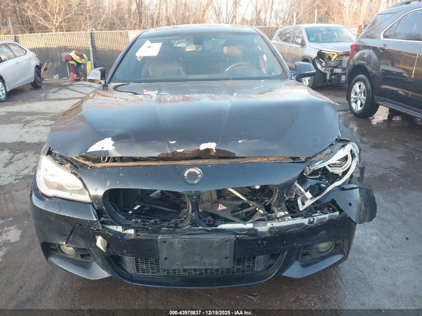 2014 BMW 528I xDrive VIN: WBA5A7C59ED620507 Lot: 43978837