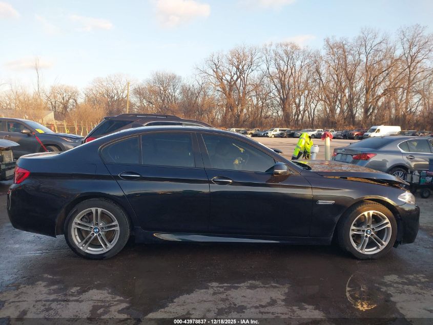 2014 BMW 528I xDrive VIN: WBA5A7C59ED620507 Lot: 43978837