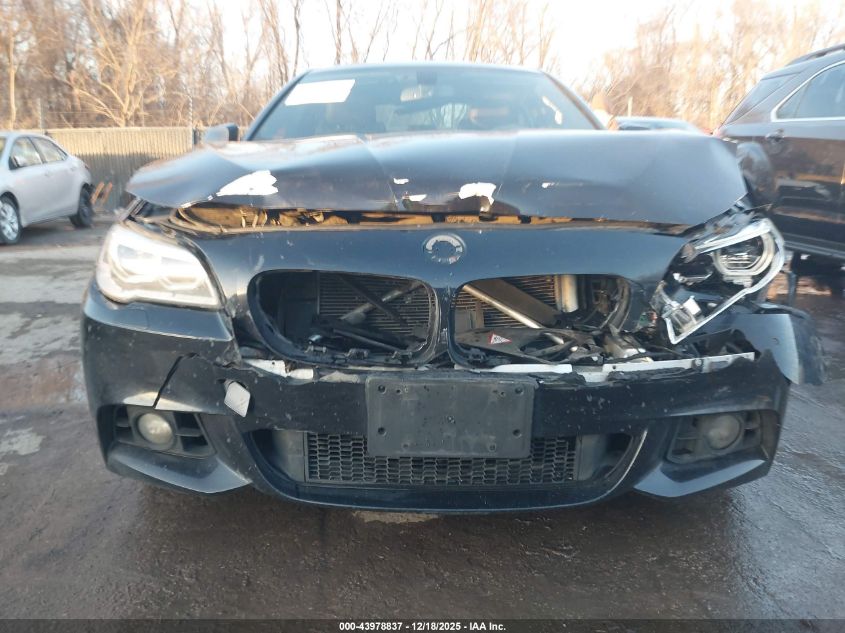 2014 BMW 528I xDrive VIN: WBA5A7C59ED620507 Lot: 43978837