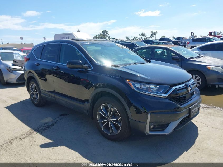 2020 Honda Cr-V 2Wd Ex VIN: 5J6RW1H54LA018800 Lot: 43978871