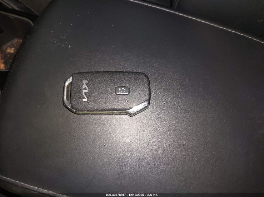 2022 Kia Telluride Ex VIN: 5XYP3DHC6NG301501 Lot: 43978897