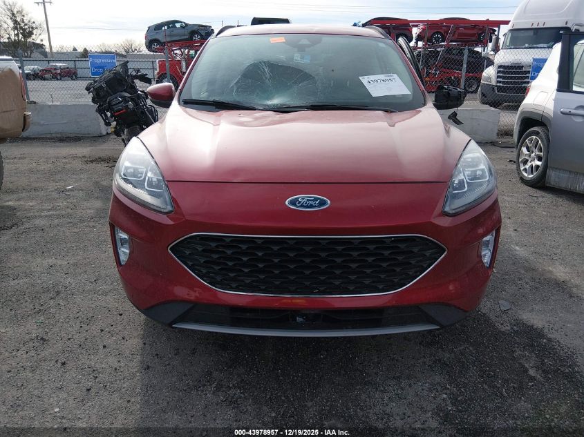2020 Ford Escape Titanium Hybrid VIN: 1FMCU0DZ7LUA31006 Lot: 43978957