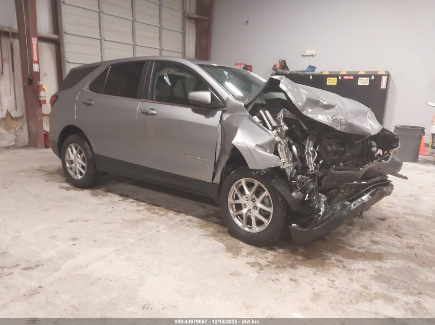 2024 Chevrolet Equinox Fwd 2Fl VIN: 3GNAXJEG3RL173949 Lot: 43979067