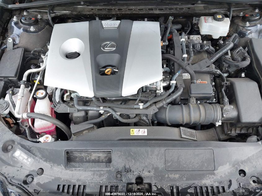 2021 Lexus Es 300H Luxury VIN: 58AEA1C17MU010699 Lot: 43979223